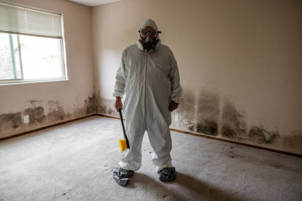 Best Emergency Mold Remediation  in Grottoes, VA